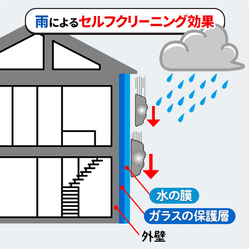 雨によるセルフクリーニング効果